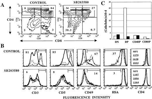 Fig. 2. Inhibition of p38 MAPK activity with SB203580 impairs DP-to-SP differentiation in FTOC. / Thymic lobes from day 16 fetuses were cultured for 4 days in the absence (control) or in the presence of 30 μmol/L SB203580, and analyzed by flow cytometry for surface marker expression. A, Contour plots of CD4/CD8 expression. Numbers indicate the percentage of cells in each quadrant. B, Histograms represent expression of the indicated surface molecule on DP (thick solid line), CD4+CD8lo (dotted line) and CD4+CD8− (thin solid line) cells gated as shown in CD4/CD8 plots. Percentages of cells within the marked region are given for CD4+CD8− cells. For CD4 expression, mean fluorescence intensity (MFI) values for DP (top), CD4+CD8lo (middle), and CD4+CD8− (bottom) cells are shown to appreciate the difference in CD4 levels in the subpopulations. C, Mean cell recovery per lobe (5 experiments) for DN, DP, CD4 SP, and CD8 SP cells (as defined by quadrants in A) from control (white bars) and SB203580-treated (black bars) FTOCs. In each case, SEM did not exceed 15% of the mean.