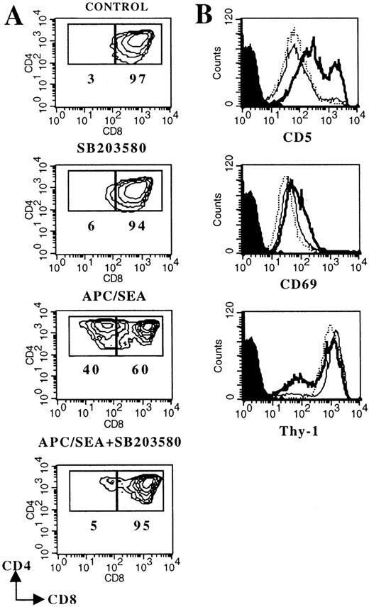 Fig. 3. DP-to-SP differentiation of the thymocyte cell line Thy278/107 is blocked by SB203580. / Thy278/107 cells (2 × 105) were cultured without (control) or with 10 μmol/L SB203580, or cocultured with SEA-pulsed APCs in the absence or in the presence of the p38 MAPK inhibitor. After 3 days, cultures were analyzed by flow cytometry. A, Contour plots of CD4/CD8 expression. Numbers represent the percentage of Thy278/107 cells in the indicated region. B, Histograms represent CD5, CD69 and Thy-1 expression on control (dotted line) Thy278/107 cells, or cells cocultured with SEA-pulsed APCs in the absence (thick solid line) or in the presence (thin solid line) of 10 μmol/L SB203580. Shaded curves represent background staining with isotype-matched FITC- or PE-conjugated rat immunoglobulins. Cell recoveries in this particular experiment were: 30.6 × 105 (control); 33.6 × 105 (SB203580); 14.3 × 105 (APC/SEA) and 8.0 × 105 (APC/SEA/SB203580).