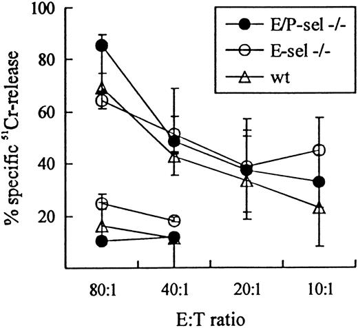 Fig. 2. LCMV-specific TC activity in E/P-sel −/−, E-sel −/−, and wild-type (wt) C57BL/6 mice 8 days after iv infection. / Mice were infected iv with 103 LD50 of LCMV, and splenic TC activity was assayed using MC57G cells infected 48 hours previously LCMV. Uninfected MC57G cells, assayed only at effector:target (E:T) ratio 80:1 and 40:1 were used as negative controls. Medians and ranges of 3 mice per group are depicted.