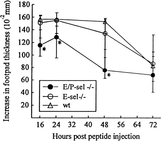 Fig. 5. Time course of peptide-induced footpad swelling in infected E/P-sel −/−, E-sel −/−, and wild-type (wt) mice. / Mice were infected iv with 103 LD50 of LCMV and challenged in the right hind footpad with LCMV GP 33-41 (50 μg/mL, 30 μL) on day 8 pi; this peptide represents an immunodominant class I–restricted peptide in H-2b mice. Groups consisted of 4 to 6 mice; medians and ranges are presented. * denotesP < .05 relative to wild-type mice.