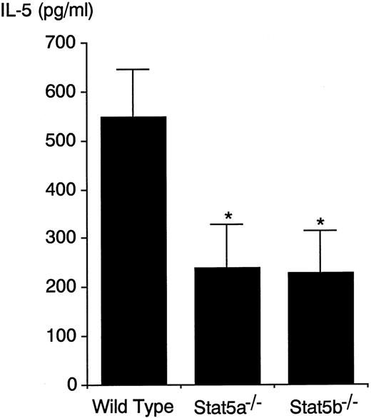 Fig. 3. Antigen-induced IL-5 production in BALF is decreased in Stat5a−/− mice and Stat5b−/− mice. / OVA-sensitized mice were challenged with inhaled OVA. At 24 hours after OVA inhalation, IL-5 levels in the BALF were determined by ELISA. Data are means ± SD for 5 mice in each group. IL-5 in the BALF was undetectable in mice that were challenged with inhaled saline (data not shown). *Significantly different from the mean value of wild-type mice, *P < .005.