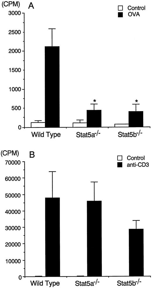 Fig. 4. Diminished antigen-induced proliferation of splenocytes in Stat5a−/− mice and Stat5b−/− mice. / (A) Splenocytes from OVA-sensitized mice were cultured in the presence or absence of 200 μg/mL of OVA for 72 hours. Data are means ± SD for 5 mice in each group. *Significantly different from the mean value of wild-type mice, *P < .005. (B) Splenocytes from OVA-sensitized mice were stimulated with or without plate-coated anti-CD3 mAb for 72 hours. Data are means ± SD for 5 mice in each group.