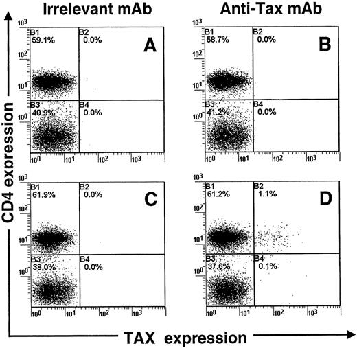 Fig. 1. Concomitant detection of Tax and CD4 antigens in peripheral blood mononuclear cells isolated from a patient infected with human T-cell leukemia virus type I. / Cells were cultivated for 24 hours (C, D) or analyzed fresh (A, B). The Tax protein was detected with the Lt-4 monoclonal antibody (B, D), and an irrelevant monoclonal antibody was used as a control isotype (A, C). One representative experiment of 3 is shown.