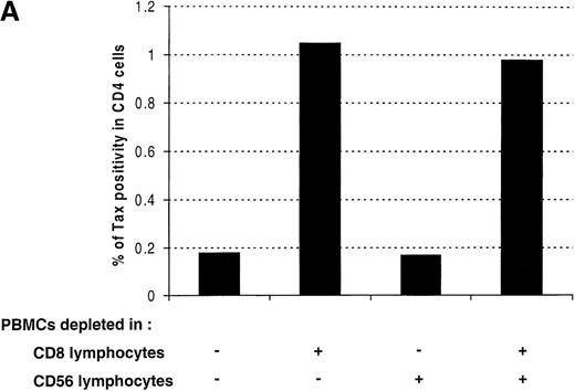 Fig. 5. Effect of CD8+ lymphocytes on the frequency of Tax expression in CD4+ lymphocytes. / (A) Peripheral blood mononuclear cells (PBMCs) were isolated from an asymptomatic carrier (HT) and cultivated for 24 hours either directly or after depletion of CD8+ or CD56+ lymphocytes, or both. The cells were then harvested and processed to perform the concomitant detection of Tax and CD4 antigens. One representative experiment of 3 is shown. (B) PBMCs were isolated from 3 asymptomatic carriers and from 3 patients with HTLV-I-associated myelopathy/tropical spastic paraparesis depleted of CD8+ cells and then cultivated for 24 hours after re-addition of a different number of autologous CD8+ cells. Tax positivity in CD4+ lymphocytes was then plotted as a function of the percentage of CD8+ lymphocytes in each culture. HTLV-I = human T-cell leukemia virus type I.