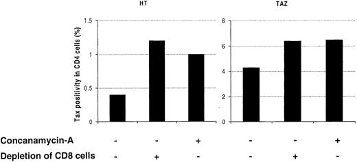 Fig. 7. Effect of Concanamycin A (CMA) on the frequency of Tax expression in CD4+ lymphocytes. / Peripheral blood mononuclear cells (PBMCs) were isolated from an asymptomatic carrier (HT) and from a patient with HTLV-I-associated myelopathy/tropical spastic paraparesis (TAZ), cultivated with or without CMA for 24 hours, and then processed for the concomitant detection of Tax and CD4 antigens. The effect of CMA was compared with the effect of CD8+ lymphocyte depletion. One representative experiment of 3 is shown. HTLV-I = human T-cell leukemia virus type I.