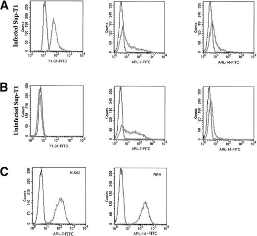 Fig. 1. The binding of ARL antibodies to HIV-infected and uninfected lymphocytes. / Human antibody 71-31 (IgG-λ) was used as a positive control to identify HIV-infected cells. F(ab′) fragment specific for human IgG/IgM (H&L) biotin-labeled was used as the secondary reagent, and streptavidin-FITC was used as the tertiary reagent. X axis represents the intensity of fluorescence and Y axis the number of events. Panel A shows binding of 71-31, ARL-7, and ARL-14 antibodies to the cytoplasmic (71-31) and surface (ARL-7 and ARL-14) antigens of infected cells (thick gray line) in comparison to isotype control (thin line). Panel B shows binding of the same antibodies to uninfected cells. Panel C shows binding of ARL-7 and ARL-14 antibodies to K-562, an erytholeukemia cell line, and REH, a pro-B cell line, respectively (thick gray line), in comparison to isotype controls (thin line).