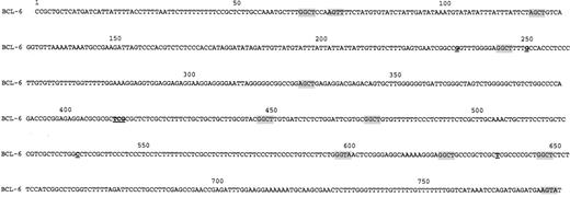 Fig. 1. Nucleotide sequence of BCL-6 genomic DNA derived from MNC of healthy individuals. / Shaded tetranucleotide sequences indicate RGYW motifs. Differences from the previously published sequence12 are underlined.