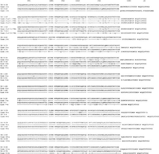 Fig. 1. Deduced amino acid sequences of the immunoglobulin gene regions (VH-DH-JH) used in the cases of familial CLL. / In each case, the top sequence represents the closest germ line VH genes. The DH and JH segments of the closest germ line are shown. The individual FR and CDR are indicated according to the V BASE sequence directory (I.M. Tomlinson, MRC Center for Protein Engineering, Cambridge, UK). Replacement mutations are shown by uppercase letters and silent mutations by lowercase letters. Identities are represented by dashes.