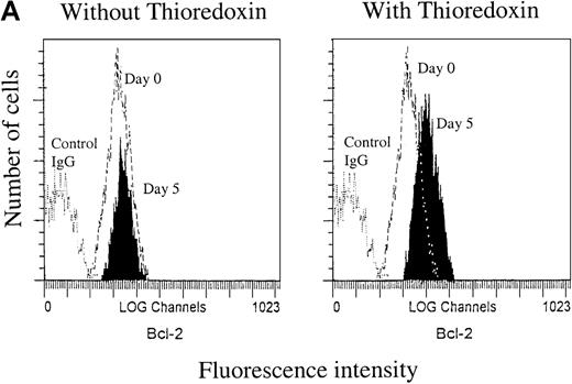 Fig. 1. Bcl-2 expression. / A. Bcl-2 expression at day 0 and day 5. Right panel: cultures with recombinant thioredoxin (rTrx) 1 μg/mL; left panel: cultures without rTrx. B-type chronic lymphocytic leukemia (B-CLL) cells were obtained from patient RD-1. B. Bcl-2 expression 12 days after onset of cultures with Trx (Trx day 12, thick line) and without Trx (day 12, dotted line) in comparison with Bcl-2 expression at the onset of experiment (day 0, thin line). Flow cytometry analysis was performed as described in Materials and methods section. C = control mouse isotype IgG; counts = cell number; FL1-H = fluorescence intensity.