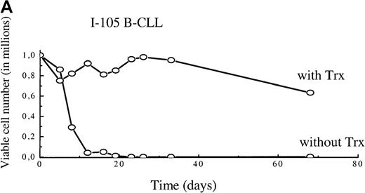 Fig. 2. A. Viability curves for I-105 cells cultured with and without MP6-thioredoxin. / B. Survival curves for cells in vitro of 4 patients with B-type chronic lymphocytic leukemia with and without recombinant thioredoxin or MP6-thioredoxin.