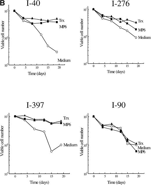Fig. 2. A. Viability curves for I-105 cells cultured with and without MP6-thioredoxin. / B. Survival curves for cells in vitro of 4 patients with B-type chronic lymphocytic leukemia with and without recombinant thioredoxin or MP6-thioredoxin.