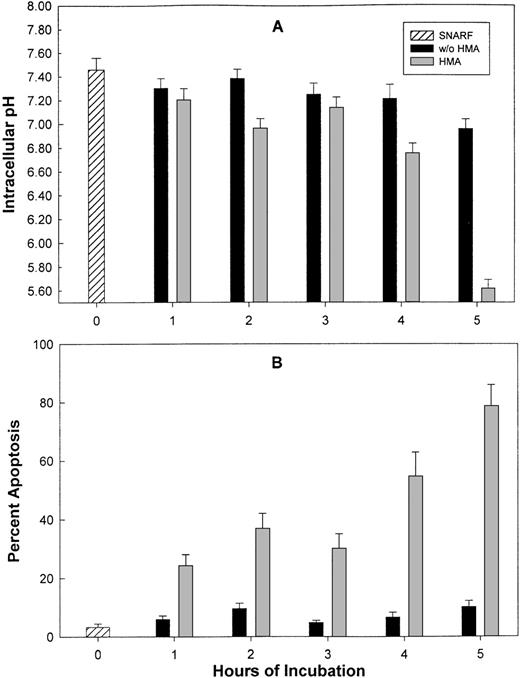 Fig. 6. The effect of HMA on pHi and apoptosis of KG-1a leukemic cells. / Measurement of pHi (A) was performed using flow cytometry, and apoptosis (B) was detected by annexin-V. Results represent the mean ± SEM of 3 experiments.