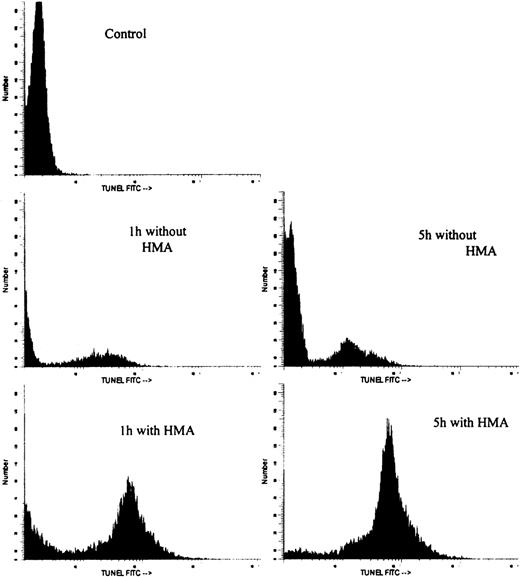 Fig. 8. Flow cytometric histogram profiles of a representative ALL sample incubated in the absence or presence of HMA, followed by measurement of apoptosis by the TUNEL method.