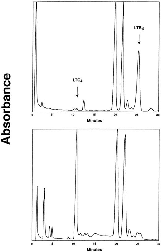 Fig. 3. HPLC chromatograms demonstrating the subcellular distribution of LTC4 synthase activity in CML CD16+ neutrophils. / CD16+ neutrophils from CML patients were subjected to subcellular fractionation as described in Materials and Methods. Cytosolic (upper panel) and microsomal (lower panel) fractions were incubated with LTA4 (60 μmol/L) and glutathione (5 mmol/L) in the presence of 0.05% BSA at 20°C for 10 minutes. Absorbance was measured at 280 nm. The retention times of LT standards are indicated. One representative experiment out of 4 is shown.