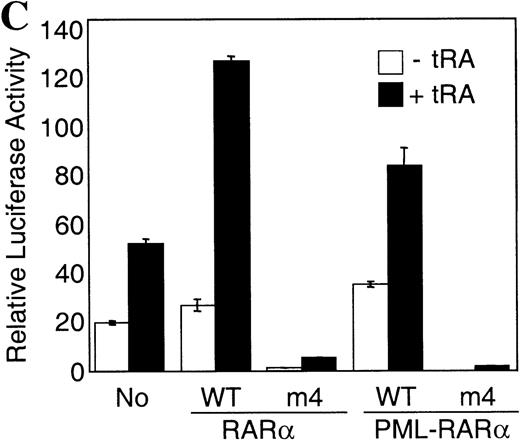Fig. 1. PMLRARm4 and RARm4. / A, PMLRARαm4: the Leu to Pro point mutation at codon 398 ofRARα was introduced into a human PMLRARα cDNA whose chromosome 15 breakpoint lies in breakpoint cluster 1.16The PML portion of the fusion is shown with hatching with selected structural domains labeled and shown in white. The B-F domains that encompass the RARα portion of the fusion are labeled and functional regions are noted. RARαm4: the Leu to Pro point mutation was introduced into a human RARα1 cDNA. B, Hormone binding by PMLRARα (“Wild-type,” WT) andPMLRARαm4 (m4 mutant). Radiolabeled proteins synthesized by in vitro transcription and translation were incubated without or with increasing amounts of trypsin (indicated above the panels) in the absence or presence of 1 μmol tRA. The protein products were resolved by denaturing PAGE and visualized by autoradiography. The arrows show the position of the full-length undigested proteins. Smaller bands represent partially degraded products. C, Dominant negative activity of the m4 mutant proteins. CV-1 cells were transiently transfected with pSG5 constructs containing no exogenous receptor, RARα (WT),RARαm4, PMLRARα (WT), and PMLRARαm4. Luciferase activity expressed from a cotransfected βRARE-luciferase reporter gene was normalized to β-galactosidase activity from a cotransfected pCH210-LacZ plasmid. D, Decreased hormone-induced dissociation of SMRT corepressor by the m4 mutant proteins. GST-SMRT fusion protein was synthesized in E coli and was immobilized on glutathione agarose. The different receptor proteins were synthesized by in vitro transcription and translation and were incubated with the immobilized GST-SMRT in the absence or presence of 1 μmol tRA, as indicated below the panels. Equivalent amounts of GST-SMRT and radiolabeled receptor protein were used for each panel. Nonrecombinant GST, immobilized on glutathione agarose, was used in parallel as a negative control. The radiolabeled receptors remaining bound to the GST or GST-SMRT matrix after washing were eluted, were resolved by denaturing PAGE, and were visualized and quantified by phosphorimager analysis. The amount of radiolabeled receptor bound to the GST or GST-SMRT matrix, relative to the amount of receptor input in each binding reaction, is displayed beneath each panel.