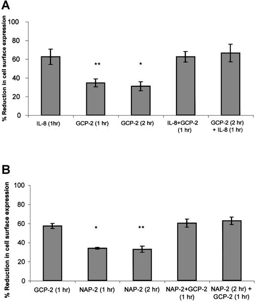 Fig. 4. The functional hierarchy between IL-8, GCP-2, and NAP-2, as manifested by their abilities to induce CXCR1 or CXCR2 internalization. / (A) IL-8 functionally competes for and displaces GCP-2–induced internalization of CXCR1 expression. CXCR1-transfected HEK 293 cells were incubated with IL-8 (1000 ng/mL) or GCP-2 (3000 ng/mL) for the indicated time at 37°C. GCP-2 + IL-8 (1 hour) indicates a concomitant exposure to both chemokines for 1 hour. GCP-2 (2 hours) + IL-8 (1 hour) indicates an exposure to GCP-2 for 2 hours, to which IL-8 was added during the second hour of incubation with GCP-2. The cells were washed and stained with anti-CXCR1–specific antibodies, and subjected to fluorescence-activated cell sorting (FACS) analysis as described in “Materials and methods.” Each value represents the mean ± SD of 3 independent experiments. *P = .001 for GCP-2 exposure for 2 hours vs the GCP-2 (2 hours) + IL-8 (1 hour) treatment. **P < .001 for GCP-2 exposure for 1 hour vs the GCP-2 + IL-8 (1 hour) treatment. (B) GCP-2 functionally competes for and displaces NAP-2–induced downmodulation of CXCR2 expression. CXCR2-transfected HEK 293 cells were incubated with GCP-2 (1000 ng/mL) or NAP-2 (2000 ng/mL) for the indicated time at 37°C. NAP-2 + GCP-2 (1 hour) indicates a concomitant exposure to both chemokines for 1 hour. NAP-2 (2 hours) + GCP-2 (1 hour) indicates an exposure to NAP-2 for 2 hours, to which GCP-2 was added during the second hour of incubation with NAP-2. The cells were washed and stained with anti-CXCR2–specific antibodies, and subjected to FACS analysis as described in “Materials and methods.” Each value represents the mean ± SD of 3 independent experiments. * P = .01 for GCP-2 exposure for 1 hour vs the NAP-2 + GCP-2 (1 hour) treatment. **P = .006 for NAP-2 exposure for 2 hours vs the NAP-2 (2 hours) + GCP-2 (1 hour) treatment.
