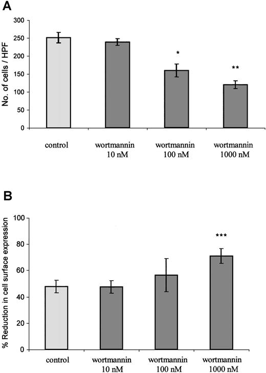 Fig. 6. The role of signaling events in the regulation of GCP-2–induced CXCR2 internalization. / (A) Inhibition of GCP-2–induced chemotaxis of CXCR2-expressing HEK 293 cells by wortmannin. The cells were treated with 10, 100, or 1000 nmol/L wortmannin for 1 hour at 37°C, and washed and subjected to a chemotaxis assay in response to 100 ng/mL GCP-2, as described in “Materials and methods.” A representative experiment of 4 performed is shown. *P < .05, **P < .01 for the response after the treatment, vs without treatment, by wortmannin. (B) Enhancement of GCP-2–induced internalization of CXCR2-transfected HEK 293 cells by wortmannin. CXCR2-transfected cells were incubated with 360 ng/mL GCP-2 for 2 hours at 37°C. Prior to (for 1 hour) and during the exposure to GCP-2, the cells were treated with 10, 100, or 1000 nmol/L wortmannin, washed, stained with anti-CXCR2-specific antibodies, and subjected to fluorescence-activated cell sorting (FACS) analysis, as described in “Materials and methods.” Each value represents the mean ± SD of 4 to 6 independent experiments. ***P < .001 for the response in the presence, vs the response in the absence of wortmannin.