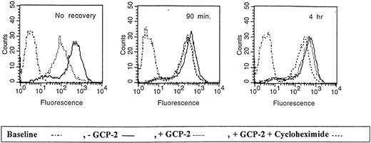 Fig. 7. Re-expression of CXCR2 on the cell membrane. / CXCR2-expressing HEK 293 cells were either not incubated with GCP-2 (control cells) or incubated with 1000 ng/mL GCP-2 at 37°C for 1 hour. The GCP-2–exposed cells were subdivided into 2 groups. One group of cells was washed and stained immediately after exposure to GCP-2 with anti-CXCR2–specific antibodies, as described in “Materials and methods.” The cells of the other group were washed and allowed to recover at 37°C for various intervals, in the presence or absence of 10 μg/mL cycloheximide. The cells were washed and stained with anti-CXCR2-specific antibodies, and subjected to fluorescence-activated cell sorting (FACS) analysis as described in “Materials and methods.” No recovery indicates cells undergoing internalization and no recovery at 37°C; 90 minutes and 4 hours indicate the time of recovery at 37°C. Counts indicates relative cell number; and baseline, cells stained with cell sorter buffer instead of antibodies to CXCR2. A representative experiment of 3 performed is shown.
