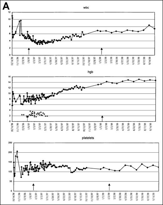 Fig. 2. Graphic presentation of peripheral blood indices in 4 (A-D) patients treated with PCD and amifostine. / *2 U PRBC transfusion.