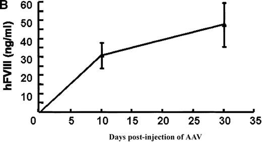 Fig. 3. In vivo expression of rAAV/BDD-hFVIII in mice. / Purified rAAV/DLZ6 virus was administered to the C57BL/6 mice via the portal vein. ELISA was used to determine hFVIII level in the plasma and BIA was used to measure anti-hFVIII inhibitor titer. A) BDD hFVIII antigen level and anti-hFVIII inhibitor titer in the plasma of the mice (n = 4) receiving 2 × 1011 rAAV/DLZ6. B) BDD-hFVIII antigen measurement of NOD/scid mice (n = 4) receiving 1.5 × 1011 rAAV/DLZ6. Solid line: hFVIII antigen level; dashed line: anti-BDD-hFVIII inhibitor titer. Human FVIII ELISA standard curve was performed using pooled normal human plasma diluted in either barbital buffered saline or mouse plasma.