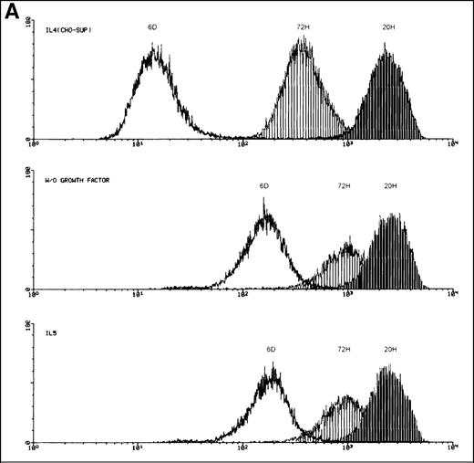 Fig. 4. Induced up-regulation of the membrane-bound hIL-5R isoform by IL-5. / (A) Flow cytometry plots of FDC-P1-MINI-1.1 cells labeled with the lipophilic chromophore PKH2-GL. Cell growth in human IL-5 (bottom panel) showed a single population, which parallels spontaneous autocrine outgrowth (middle panel). If a fast proliferating subpopulation were present, dilution of the fluorescent dye would be much more pronounced and would approach fluorescence intensities as shown for cells grown in IL-4-containing medium (top panel). Representative of 2 independent experiments. (B) RT-PCR analysis of IL-5Rα isoform mRNA expression by FDC-P1-MINI-1.1 cells grown in medium containing EL4 CM, IL-5 alone, IL-4 alone, or IL-4 and IL-5 combined. The upper part of each panel shows the products of a competitive PCR; the lower part represents PCR data using primers for the TM-transcript only. TM-transcripts are detected in the presence of IL-5, but also, although at a lower level, and with slower kinetics in the presence of IL-4 plus IL-5. Representative of 2 independent experiments. (C) FDC-P1-MINI-1.1 cells transfected with the pSVZeo-mIL-5Rα vector, which directs the expression of the murine IL-5Rα subunit, will grow in the presence of murine IL-5, independent of hIL-5. Under these conditions, switch of isoform expression of hIL-5Rα transcripts from the minigene was also observed (arrow). Sampling time points are shown. Representative of 2 independent experiments.