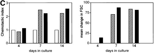 Fig. 5. IL-5R expression by developing primary human eosinophils. / (A) The effect of cytokine treatment on IL-5Rα isoform mRNA expression by human cord blood CD34+ cell-derived eosinophil progenitors. RT-PCR using primers specific for the TM-transcript, both TM and SOL transcripts, and β actin mRNA was performed on RNA extracted from cord blood CD34+ cells cultured in IL-3+IL-5 for 0, 3, 5, 7, or 14 days. Results are representative of 5 separate experiments. (B) Interleukin 5Rα surface expression is detected after 7 days of culture of CD34+progenitors in IL-3 and IL-5. Flow cytometry plot shows surface staining with α16 (an IgG1 mouse monoclonal antibody to human IL-5Rα chain) or isotype control IgG1 antibody. CD34+cord blood-derived progenitors were stained at the time of isolation (day 0) and after 7 days of culture in IL-3 and IL-5. The plot shown is typical of 10 independent experiments. (C) CD34+ umbilical cord blood progenitors acquire biologic responsiveness to IL-5 by day 7 of culture in IL-3 and IL-5. Chemokinetic and polarization responses of cord blood-derived CD34+ cells cultured in IL-3 and IL-5 for 4, 7, and 14 days. Cells added to the top well were exposed to medium alone (open bars) or IL-5 at 0.1 nM (hatched bars) or 1 nM (black bars). Chemokinetic index is the number of cells in the bottom well at 1 hour with stimulus divided by that with medium alone. Polarization in response to medium alone or 0.1 nM and 1 nM IL-5 was assessed by change in forward scatter (FSC) signal on flow cytometry (mature peripheral blood eosinophils showed a mean change in forward scatter of 120 units to 1 nM IL-5, n = 3, data not shown). The figure shows a typical response at days 7 and 14. No response to IL-5 was seen at day 3 to 4 in 7 independent experiments. Responsiveness of cells cultured for 7 days to IL-5 was variable and may reflect different rates of eosinophil development in different cultures; however, similar responses to those shown were seen from cells cultured for 7 days in IL-3 and IL-5 in 4 independent experiments.