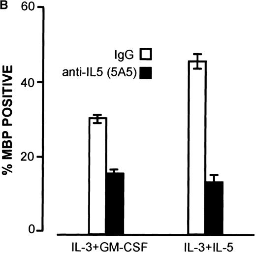 Fig. 6. Up-regulation of TM-IL-5R. / Up-regulation of TM-IL-5Rα mRNA expression in umbilical cord blood CD34+ cells grown in IL-3 and GM-CSF is preceded by IL-5 mRNA expression, and anti-IL-5 inhibits eosinophil development from cord blood-derived CD34+ cells grown in IL-3 and GM-CSF. (A) RT-PCR for TM and SOL IL-5Rα mRNA and IL-5 mRNA expression by umbilical cord blood CD34+ cells grown in IL-3 or IL-3 and GM-CSF for 0, 3, 5, 7, and 14 days. Results are representative of 3 independent experiments. (B) A neutralizing anti-hIL-5 monoclonal antibody (5A5, 10 μg/mL) was added to CD34+ cord blood cells cultured at 2 × 104 cells per 100μL in 96-well plates with IL-3 and GM-CSF, as above. Three wells were set up for each time point and cells were harvested at 3, 5, 7, and 14 days of culture for cell counts after May Grunwald Giemsa or major basic protein staining. Data shown are means and standard error for 3 separate experiments.