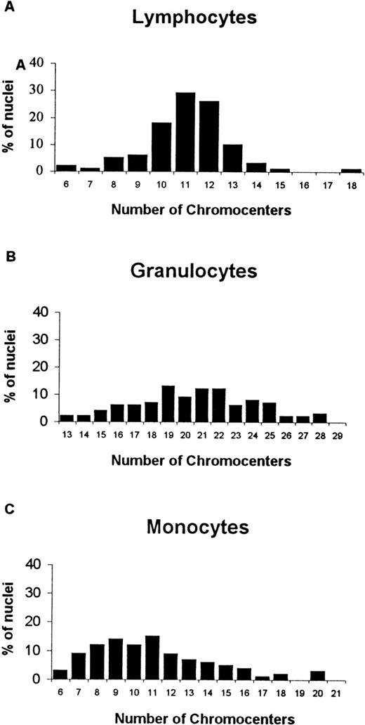 Fig. 1. Analysis of chromocenters in quiescent peripheral blood cells using a pancentromeric probe. / Observed distributions of chromocenters per nucleus in lymphocytes (A), granulocytes (B), and monocytes (C) (100 nuclei analyzed for each cell type).