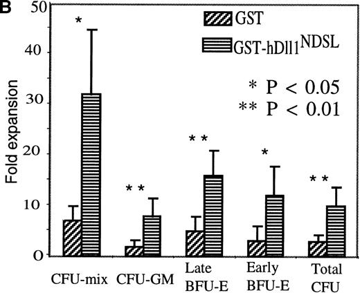 Fig. 6. Effects of GST-hDll1NDSL in myelopoiesis. / Mouse Lin− bone marrow cells were cultured for 7 days in the serum-free medium with IL-3, GM-CSF, and IL-1. GST-hDll1NDSL or control GST was added to the cultures at 0.1 μmol/L every 3 days. The cultures were initiated with 3 × 104 Lin−cells in 3 mL serum-free medium. All values represent mean ± SE from five independent experiments. (A) Differentiation analysis. Lin− cells cultured for 7 days with GST or GST-hDll1NDSL were washed and labeled with FITC- and phycoerythrin (PE)-conjugated mAbs directed to Mac-1 or Gr-1. The top panel of fluorescence histograms shows the cells stained with control isotype antibodies (IgG2b-FITC and IgG2b-PE). The middle panel shows the cells cultured with GST and stained with anti-Mac-1 or anti-Gr-1 antibodies. The bottom panel shows the cells cultured with GST-hDll1NDSL and stained with the above two antibodies. The x-axis represents log fluorescence intensity, and the y-axis represents cell numbers. Percentages of Mac-1- or Gr-1-positive cells are indicated in parentheses, and the MIF is shown for the corresponding M1 population of cells. (B) Progenitor cell assay. Lin− cells before and after culture for 7 days with GST and GST-hDll1NDSL were plated in triplicate in methylcellulose supplemented with IL-3, GM-CSF, KL, and Epo. Colonies were scored under microscope, including the CFU mix consisting of multiple lineages of at least granulocyte/macrophage and erythroid clusters, CFU-GM, burst-forming unit–erythrocyte (early BFU-E consisting of multiple erythroid clusters and late BFU-E as a single compact erythroid colony at day 7 of culture), and high-proliferation potential–CFU colonies (larger than 0.5 mm in diameter). Columns represent fold expansion of colonies formed by the progenitors. The fold expansion was calculated as the number of colonies from the day 7 cultured cells divided by the colonies from the cells before culture. Differences between the GST and GST-hDll1NDSL groups are statistically significant for CFU mix and early BFU-E (P = .02) and very significant for CFU-GM (P = .02), late BFU-E (P = .01), and total CFU (P = .001).