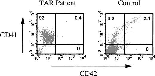 Fig. 5. Differentiation of CD41a+CD42a− cells in the presence of 6 cytokines. / CD34+ cells from a TAR syndrome patient and a control were grown in the presence of SCF plus PEG-rHuMGDF for 8 days. CD41a+CD42a- cells were sorted and cultured for 10 additional days in the presence of 6 cytokines (SCF, IL-3, IL-6, G-CSF, PEG-rHuMGDF, and Epo). At the end of the culture, cells were restained with an R-PE anti-CD41a MoAb and an anti-CD42a MoAb. The TAR syndrome patient cells remained CD41a+ and did not acquire CD42a or new markers of differentiation. The majority of normal CD41a+CD42a- cells lost the CD41 antigen and acquired other markers of differentiation, in particular, glycophorin A (data not shown), and the remaining differentiated along the MK pathway with the appearance of CD42.