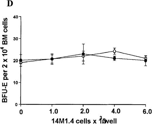 Fig. 3. Stromal macrophages do not affect hematopoietic colony formation in the presence of exogenous growth factors. / 14M1.4 cells were either untreated (open circles) or infected with amastigotes at a ratio of 25:1 (closed circles), and were overlaid with spleen (A and B) or bone marrow (C-E) cells suspended in methylcellulose containing PWM-SCCM, Epo, and SCF. After 7 days, mature colonies were scored as CFU-GM (A and C), BFU-E (B and D) and CFU-GEMM (E). Data represent the mean ± SEM for triplicate wells and are representative of 2 independent experiments.