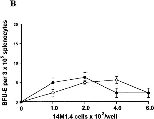 Fig. 4. L donovani infection of 14M1.4 cells promotes CFU-GM formation in the absence of exogenous growth factors. / 14M1.4 cells were untreated (open circles) or infected with amastigotes at a ratio of 25:1 (closed circles) and allowed to adhere before addition of either spleen (A and B) or bone marrow (C-E) cells suspended in methylcellulose, in the absence of growth factors. After 7 days, mature colonies were scored as CFU-GM (A and C), BFU-E (B and D), or CFU-GEMM (E). Data represent the mean ± SEM for triplicate wells and are representative of 2 independent experiments. Significant statistical differences between naı̈ve and infected 14M1.4 cells of P < 0.02 (*) are indicated.