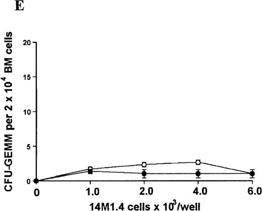 Fig. 4. L donovani infection of 14M1.4 cells promotes CFU-GM formation in the absence of exogenous growth factors. / 14M1.4 cells were untreated (open circles) or infected with amastigotes at a ratio of 25:1 (closed circles) and allowed to adhere before addition of either spleen (A and B) or bone marrow (C-E) cells suspended in methylcellulose, in the absence of growth factors. After 7 days, mature colonies were scored as CFU-GM (A and C), BFU-E (B and D), or CFU-GEMM (E). Data represent the mean ± SEM for triplicate wells and are representative of 2 independent experiments. Significant statistical differences between naı̈ve and infected 14M1.4 cells of P < 0.02 (*) are indicated.