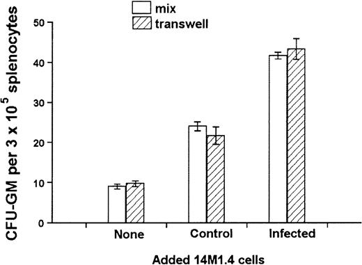 Fig. 5. Soluble factors produced by L donovani-infected 14M1.4 cells are sufficient to support increased hematopoietic colony formation. / 14M1.4 cells (103) were overlaid with spleen cells. Additional 14M1.4 cells were added to the cocultures, either directly to the adherent layer (mix) or into transwells. After 7 days, mature CFU-GM colonies were counted. Data represent the mean ± SEM for duplicate wells and are representative of 2 independent experiments.