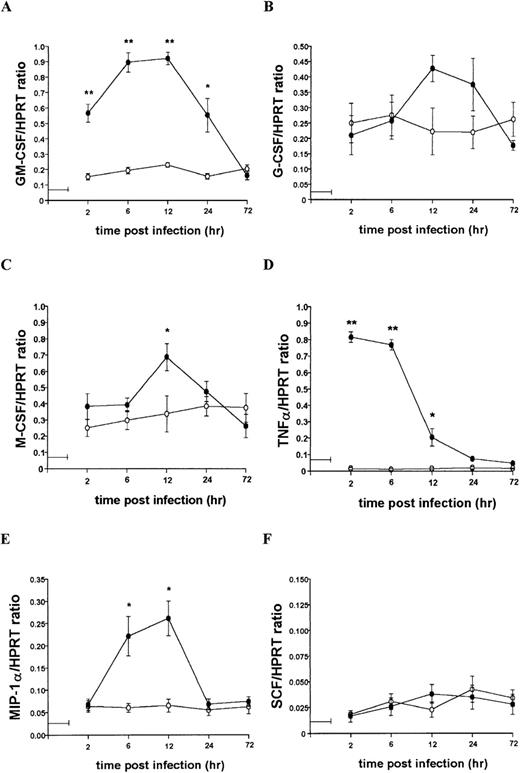 Fig. 7. Kinetics of mRNA accumulation following L donovani infection of 14M1.4 cells. / 14M1.4 cells were untreated (open circles) or infected with amastigotes (closed circles) at 25:1 for 1 hour at 37°C (as indicated by the horizontal line). mRNA accumulation was measured by RT-PCR at various times after infection and results are expressed in arbitrary densitometry units, normalized for levels of expression of HPRT. Data represent the mean ± SEM for 4 samples per group, from 2 independent experiments. Statistically significant differences between naive and L donovani-infected groups ofP < 0.05 (*) and P < 0.005(**) are indicated.