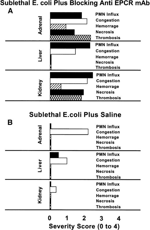 Fig. 2. Comparison of the histochemical changes in organs from animals with or without the EPCR blocking mAb. / The histopathologic responses of the animals given the blocking mAb plus sublethal E coli are compared with those given sublethalE coli alone. The tissues from animals in the E colialone group were recovered after death at T + 24 hours, whereas those from the blocking mAb group were recovered at the time of impending death (7 to 54 hours). No histopathologic studies of tissues from animals in the nonblocking mAb group were performed because we wished to compare survival time and biochemical parameters between the blocking and nonblocking groups. Evaluations of the parameters were performed in a blinded fashion. PMN influx, congestion, hemorrhage, necrosis, and thrombosis were graded on a scale from 0 to 4, with 0 being normal and 4 being severe. The histopathologic changes of the tissues recovered from the blocking mAb group are significantly more severe than those of the sublethal E coli control groupP < .001, with the exception of the adrenal and hepatic congestion.