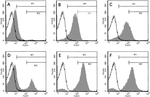 Fig. 2. Factor V binding to activated platelets. / In a representative experiment, gel-filtered human platelets were activated with 5 nmol/L thrombin (Panel A), 500 ng/mL convulxin (Panel B), 2 μmol/L A23187 (Panel C), thrombin plus convulxin (same concentrations; Panel D), thrombin plus A23187 (Panel E), or convulxin plus ionophore (Panel F) as described in “Materials and methods.” Surface-bound FV was detected with biotinylated monoclonal antibody HFV-237 against factor V and phycoerythrin-streptavidin (FL2). In each panel, control platelets are indicated by the line histogram, and stimulated cells are depicted with the shaded histogram. Region M1 represents all cells binding FV, and region M2 represents cells binding very high levels of FV. Cells in region M2 are referred to as COAT-FV (see text). Experiments performed with antibody HFV-271 gave similar results to those for HFV-237 (data not shown).