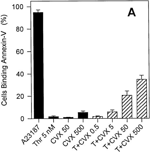 Fig. 6. Annexin-V binding to platelets stimulated with single or dual agonists. / For Panel A, platelets were activated with the various agonists indicated on the abscissa, and the binding of phycoerythrin-labeled annexin-V was monitored. All convulxin concentrations represent ng/mL and T indicates thrombin at 5 nmol/L. Bars represent mean ± 1 SD, n = 6. Panel B demonstrates the percentage of platelets positive for COAT-FV (abscissa) and annexin-V (ordinate) on stimulation with 5 nmol/L thrombin and the convulxin concentration depicted in the plot. Data are extracted from Figures 3B and 6A. Panel C represents dual labeling of platelets stimulated with convulxin plus thrombin as described in “Materials and methods.” The abscissa (FL3) depicts biotin-HFV-237/streptavidin TRI-COLOR binding, and the ordinate (FL2) represents PE–annexin-V binding. Events in region R1 are positive for both annexin-V and FV.