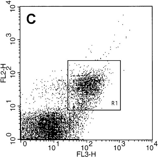 Fig. 6. Annexin-V binding to platelets stimulated with single or dual agonists. / For Panel A, platelets were activated with the various agonists indicated on the abscissa, and the binding of phycoerythrin-labeled annexin-V was monitored. All convulxin concentrations represent ng/mL and T indicates thrombin at 5 nmol/L. Bars represent mean ± 1 SD, n = 6. Panel B demonstrates the percentage of platelets positive for COAT-FV (abscissa) and annexin-V (ordinate) on stimulation with 5 nmol/L thrombin and the convulxin concentration depicted in the plot. Data are extracted from Figures 3B and 6A. Panel C represents dual labeling of platelets stimulated with convulxin plus thrombin as described in “Materials and methods.” The abscissa (FL3) depicts biotin-HFV-237/streptavidin TRI-COLOR binding, and the ordinate (FL2) represents PE–annexin-V binding. Events in region R1 are positive for both annexin-V and FV.