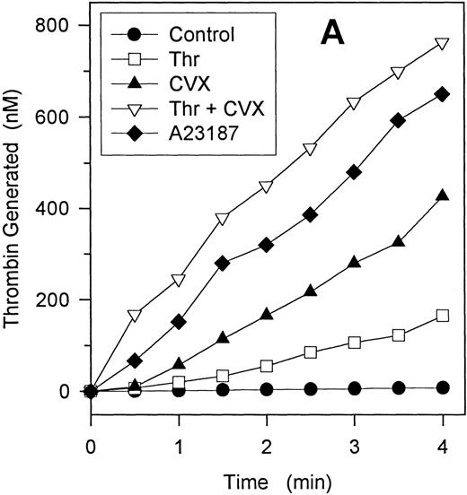 Fig. 8. Prothrombinase activity generated by single and dual agonists. / Gel-filtered platelets were stimulated with various single- and dual-agonist combinations for 10 minutes as described in “Materials and methods.” Platelets were then added to exogenous Factor Xa and prothrombin, and the initial rate of prothrombin activation was determined. Panel A depicts a representative experiment and demonstrates that the initial rates of thrombin generation were linear for up to 4 minutes. Agonist concentrations were 5 nmol/L thrombin, 500 ng/mL convulxin, and 2 μmol/L A23187. Panel B represents the prothrombinase activity (nmol/L thrombin generated per minute) for various agonists. Ionophore (A) was 2 μmol/L; thrombin (T), 5 nmol/L; and convulxin (CVX) concentration was 500 ng/ml unless specifically designated (ng/mL) otherwise. Bars represent mean ± 1 SD; n = 3.