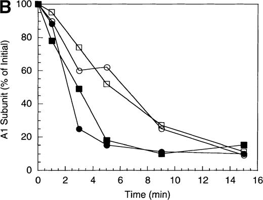 Fig. 2. Effect of EGR-factor IXa on the inactivation of factor VIIIa by human APC and protein S. / (A) Factor VIIIa activity was determined for reactions containing 200 nmol/L factor VIIIa alone (open diamonds), factor VIIIa plus 40 nmol/L APC (circles), and factor VIIIa plus APC plus 400 nmol/L EGR-factor IXa (squares). Open symbols were in the absence and closed symbols were in the presence of 250 nmol/L protein S. (B) Residual A1 subunit was determined for the above reactions run in the presence of APC (circles) and APC plus EGR-factor IXa (squares). Open and closed symbols represent the absence and presence of protein S, respectively. Curves were derived from scans of the Western blots obtained using the 58.12 anti-A1 subunit antibody. (C) Residual A2 subunit was determined for the above reactions run in the presence of APC (circles) and APC plus EGR-factor IXa (squares). Open and closed symbols represent the absence and presence of protein S, respectively. Curves were derived from scans of the Western blots obtained using the R8B12 anti-A2 subunit antibody.