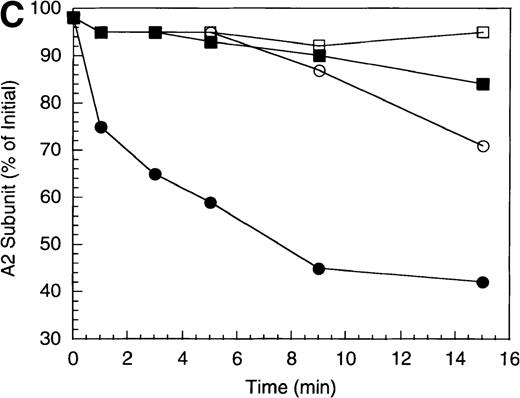 Fig. 2. Effect of EGR-factor IXa on the inactivation of factor VIIIa by human APC and protein S. / (A) Factor VIIIa activity was determined for reactions containing 200 nmol/L factor VIIIa alone (open diamonds), factor VIIIa plus 40 nmol/L APC (circles), and factor VIIIa plus APC plus 400 nmol/L EGR-factor IXa (squares). Open symbols were in the absence and closed symbols were in the presence of 250 nmol/L protein S. (B) Residual A1 subunit was determined for the above reactions run in the presence of APC (circles) and APC plus EGR-factor IXa (squares). Open and closed symbols represent the absence and presence of protein S, respectively. Curves were derived from scans of the Western blots obtained using the 58.12 anti-A1 subunit antibody. (C) Residual A2 subunit was determined for the above reactions run in the presence of APC (circles) and APC plus EGR-factor IXa (squares). Open and closed symbols represent the absence and presence of protein S, respectively. Curves were derived from scans of the Western blots obtained using the R8B12 anti-A2 subunit antibody.