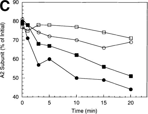 Fig. 3. Effect of factor X on the inactivation of factor VIIIa by human APC and protein S. / (A) Factor VIIIa activity was determined for reactions containing 200 nmol/L factor VIIIa alone (open diamonds), factor VIIIa plus 40 nmol/L APC (circles), and factor VIIIa plus APC plus 400 nmol/L factor X (squares). Open symbols were in the absence and closed symbols were in the presence of 250 nmol/L protein S. (B) Residual A1 subunit was determined for the above reactions run in the presence of APC (circles) and APC plus factor X (squares). Open and closed symbols represent the absence and presence of protein S, respectively. Curves were derived from scans of the Western blots obtained using the 58.12 anti-A1 subunit antibody. (C) Residual A2 subunit was determined for the above reactions run in the presence of APC (circles) and APC plus factor X (squares). Open and closed symbols represent the absence and presence of protein S, respectively. Curves were derived from scans of the Western blots obtained using the R8B12 anti-A2 subunit antibody. (D) Residual A1 subunit was determined after addition of 40 nmol/L APC to reactions containing 0 (circles), 200 (squares), 400 (triangles), and 800 nmol/L (diamonds) factor X.