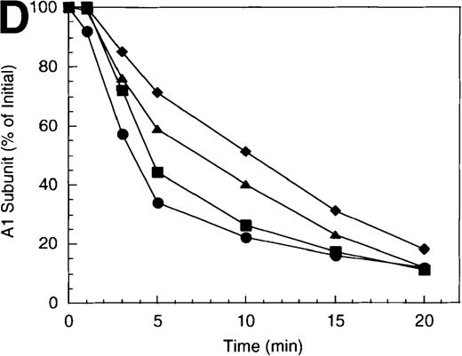 Fig. 3. Effect of factor X on the inactivation of factor VIIIa by human APC and protein S. / (A) Factor VIIIa activity was determined for reactions containing 200 nmol/L factor VIIIa alone (open diamonds), factor VIIIa plus 40 nmol/L APC (circles), and factor VIIIa plus APC plus 400 nmol/L factor X (squares). Open symbols were in the absence and closed symbols were in the presence of 250 nmol/L protein S. (B) Residual A1 subunit was determined for the above reactions run in the presence of APC (circles) and APC plus factor X (squares). Open and closed symbols represent the absence and presence of protein S, respectively. Curves were derived from scans of the Western blots obtained using the 58.12 anti-A1 subunit antibody. (C) Residual A2 subunit was determined for the above reactions run in the presence of APC (circles) and APC plus factor X (squares). Open and closed symbols represent the absence and presence of protein S, respectively. Curves were derived from scans of the Western blots obtained using the R8B12 anti-A2 subunit antibody. (D) Residual A1 subunit was determined after addition of 40 nmol/L APC to reactions containing 0 (circles), 200 (squares), 400 (triangles), and 800 nmol/L (diamonds) factor X.