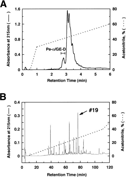 Fig. 3. Reverse-phase HPLC. / Separation of the α-remnants of GE-D (A) and its lysyl endopeptidase-digests (B) by reverse-phase HPLC. Only peptide #19 was reactive to IF-123.