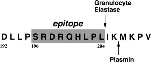 Fig. 5. Localization of the epitope for IF-123. / The residues constituting the epitope are shaded, and a plasmic cleavage site is shown in the carboxyl terminal 6 residue extension.