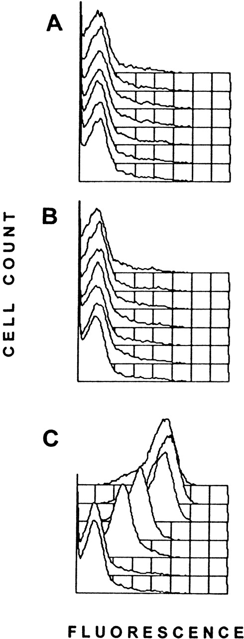 Fig. 1. IgG antidonor antibody production in BALB/c mice with weekly transfusions of 106 allogeneic platelet-pulsed BALB/c APC. / Each panel represents overlaid fluorescence histograms of C57BL/6 WBC incubated with sera (1:25 dilution) from a representative transfused mouse and labeled with FITC-goat antimouse IgG. The front histogram in each panel represents the prebleed serum, and each of the subsequent histograms are consecutive transfusions (weeks 1-6). A shift of the fluorescence to the right represents presence of antibody. (A) 106 unpulsed BALB/c APC transfused into BALB/c recipients. (B) 106 BALB/c platelet-pulsed APC transfused into BALB/c recipients. (C) 106 C57BL/6 platelet-pulsed APC transfused into BALB/c recipients.