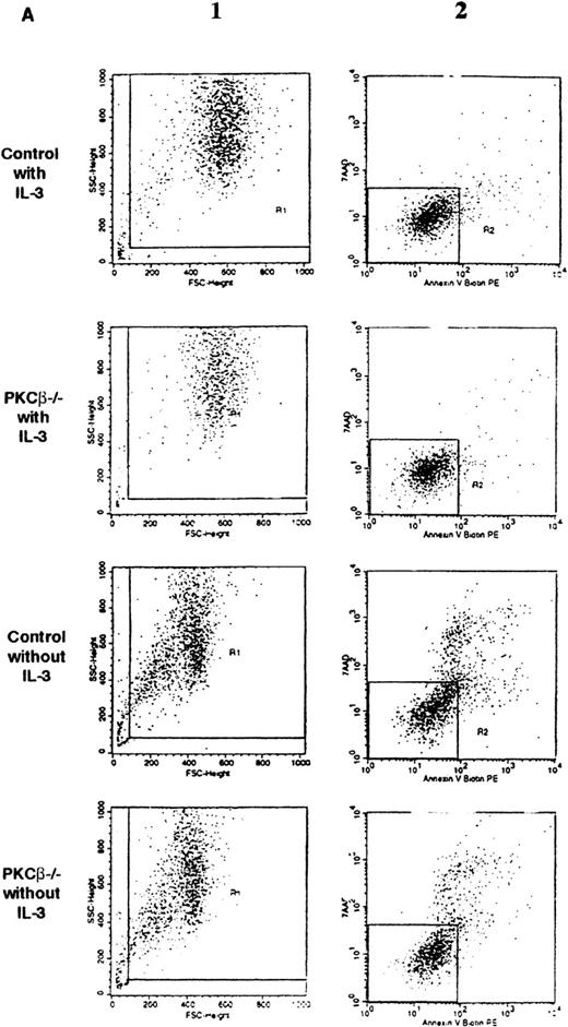 Fig. 3. Fluorescence flow cytometry analysis of apoptotic mast cells. / (A) PKCβ-deficient and wild-type mast cells were incubated with IL-3 (upper panels) or without IL-3 for 18 hours and stained with annexin V and 7-amino actinomycin D (7AAD). The left-hand column shows the forward- and side-scatter analysis of the cells. The right-hand column shows a 2-dimensional representation of cells derived from the left-hand column by using annexin V and 7AAD. (B) Graph based on results obtained by fluorescence-activated cell separation analysis done in a manner similar to the analysis shown in Figure 2A for PKCβ-deficient mast cells compared with wild-type cells after growth factor deprivation. (C) A similar graph for cells treated with mitomycin C. Here, the cells were grown with only 20 U of IL-3.