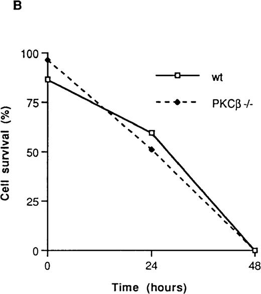 Fig. 3. Fluorescence flow cytometry analysis of apoptotic mast cells. / (A) PKCβ-deficient and wild-type mast cells were incubated with IL-3 (upper panels) or without IL-3 for 18 hours and stained with annexin V and 7-amino actinomycin D (7AAD). The left-hand column shows the forward- and side-scatter analysis of the cells. The right-hand column shows a 2-dimensional representation of cells derived from the left-hand column by using annexin V and 7AAD. (B) Graph based on results obtained by fluorescence-activated cell separation analysis done in a manner similar to the analysis shown in Figure 2A for PKCβ-deficient mast cells compared with wild-type cells after growth factor deprivation. (C) A similar graph for cells treated with mitomycin C. Here, the cells were grown with only 20 U of IL-3.
