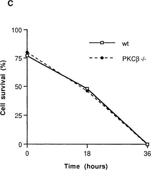 Fig. 3. Fluorescence flow cytometry analysis of apoptotic mast cells. / (A) PKCβ-deficient and wild-type mast cells were incubated with IL-3 (upper panels) or without IL-3 for 18 hours and stained with annexin V and 7-amino actinomycin D (7AAD). The left-hand column shows the forward- and side-scatter analysis of the cells. The right-hand column shows a 2-dimensional representation of cells derived from the left-hand column by using annexin V and 7AAD. (B) Graph based on results obtained by fluorescence-activated cell separation analysis done in a manner similar to the analysis shown in Figure 2A for PKCβ-deficient mast cells compared with wild-type cells after growth factor deprivation. (C) A similar graph for cells treated with mitomycin C. Here, the cells were grown with only 20 U of IL-3.